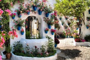 Patios tour in Cordoba - Los Patios de San Basilio: when the neighborhood becomes the show