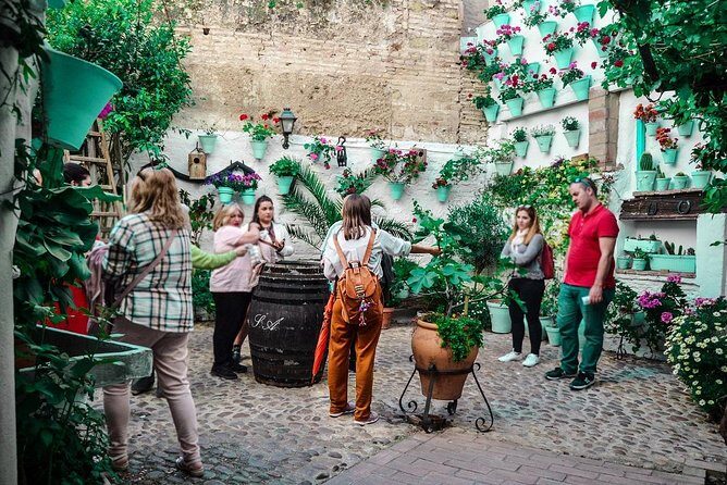 Patios tour in Cordoba - What you’ll experience at each stop (and what to look for)
