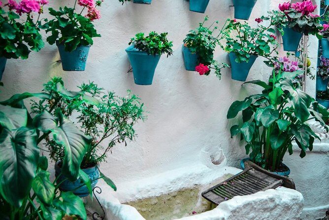 Patios tour in Cordoba - Price and value: is €16-ish really worth it?