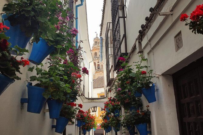 Private Córdoba Highlights Walking Tour - Who This Private Córdoba Tour Fits Best