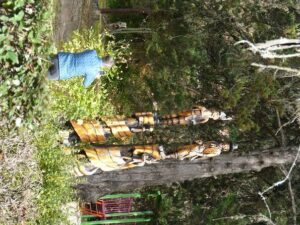 PRIVATE TOUR: La Cumbrecita & Villa Gral. Belgrano - Stop 1: Capilla la Cumbrecita and the easier way to see the town