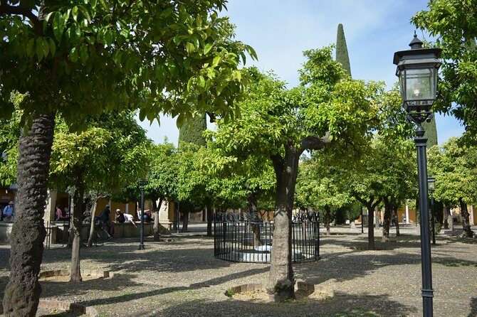 Private Tour of Cordoba Week Days 2 Hours Tickets included - A tight private format for seeing more of Córdoba