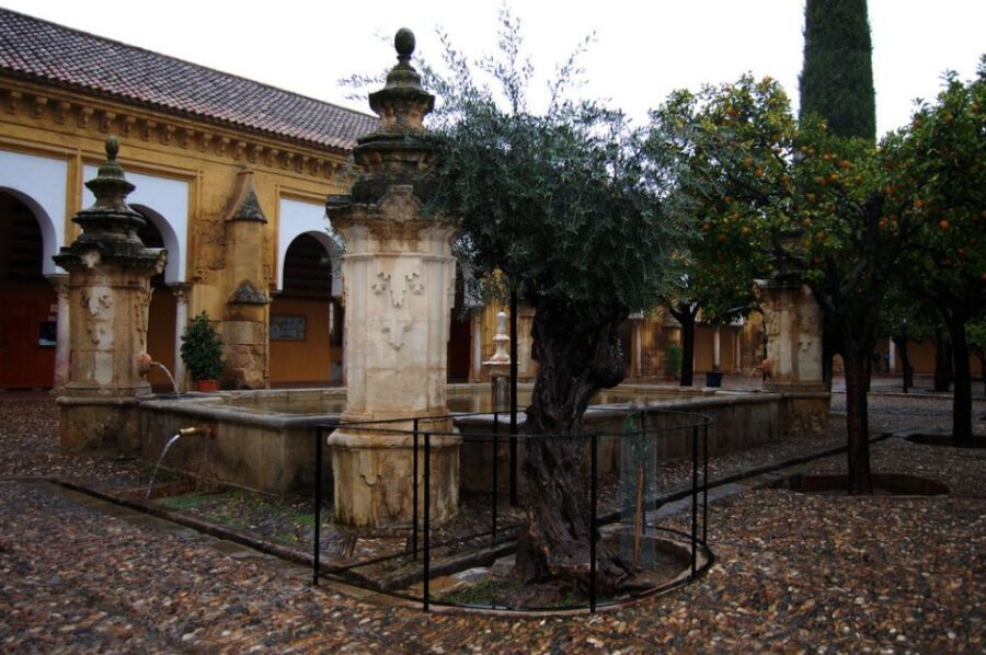 Private Tour of the Mosque-Cathedral and Jewish Quarter - Key things to know before you go