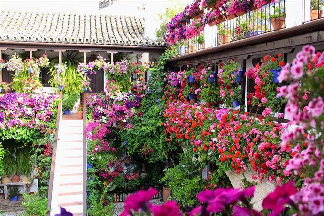 Private tourist route in Córdoba - Jewish Quarter, Roman Bridge, and the Plazas: A Walk That Makes Córdoba Feel Real