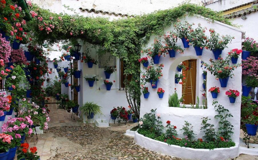 Sights, Sounds, and Scents of Córdoba's Patios - Patios Populares: The Tradition You See, Not Just the Plants You Photograph