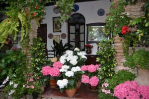 Sights, Sounds, and Scents of Córdoba's Patios - Where You Start: Manolete Monument Meets Santa Marina Church