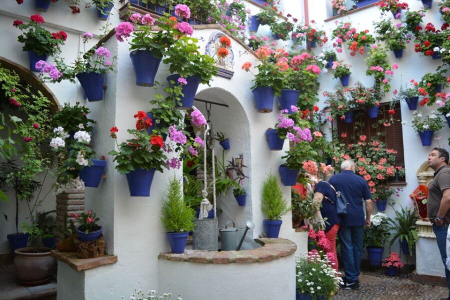 Sights, Sounds, and Scents of Córdoba's Patios - Evening Atmosphere: Views, Scents, and Local Conversation Energy