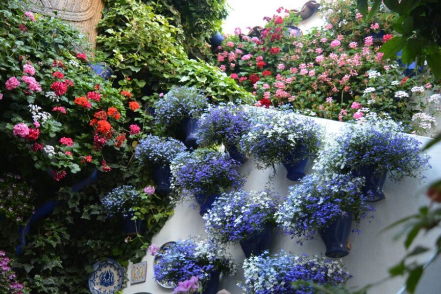 Sights, Sounds, and Scents of Córdoba's Patios - The Wine Break: Montilla-Moriles Fino at a Typical Tavern
