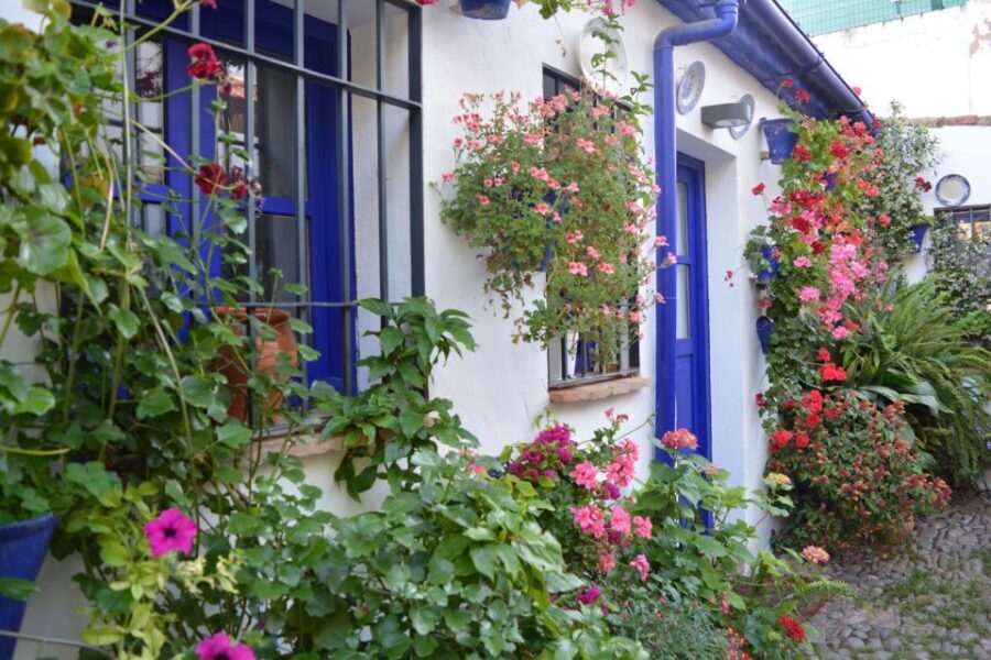 Sights, Sounds, and Scents of Córdoba's Patios - Pricing and Value: Why $26 Makes Sense for May