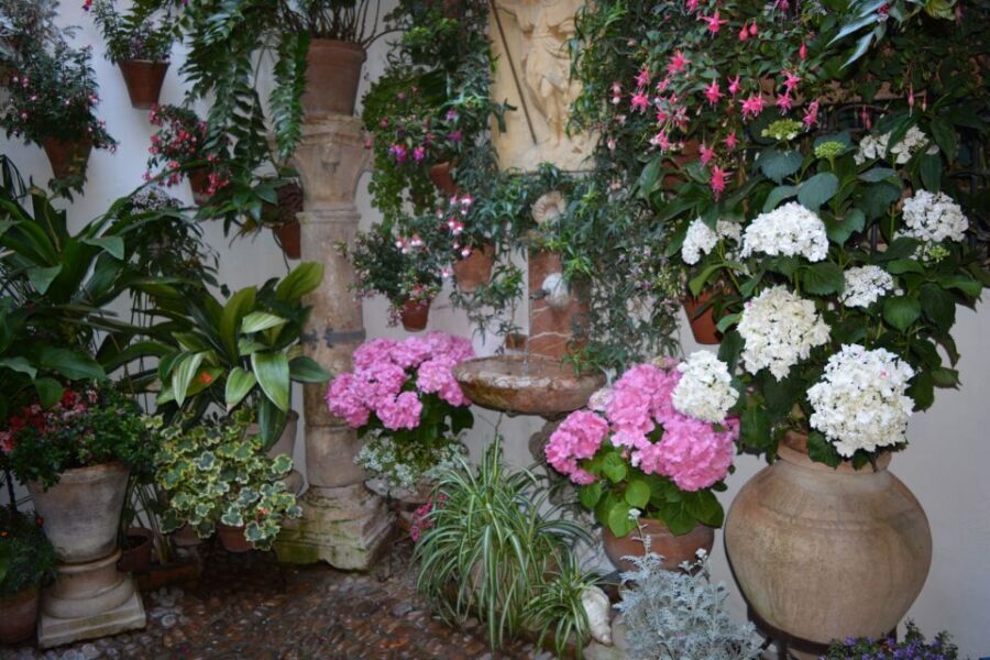 Sights, Sounds, and Scents of Córdoba's Patios - Who This Tour Suits Best (And Who Might Prefer Something Else)