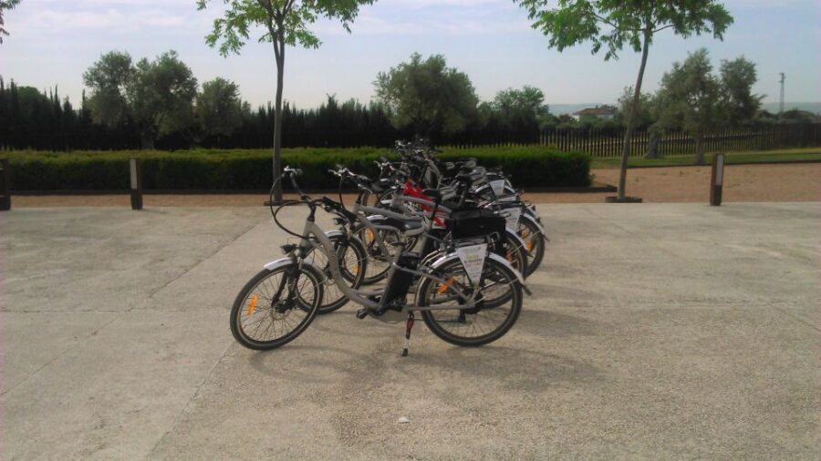 Tour bicicleta a Medina Azahara - Your Guide Matters: What Makes the Tour Shine (and Where It Can Fall Flat)