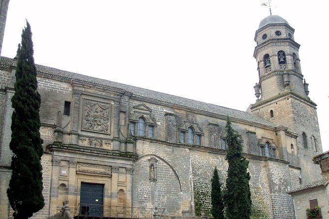Úbeda and Baeza private tour in a day from Córdoba with tickets. - Olive oil tasting at AOVE Boutique: a practical souvenir you can use