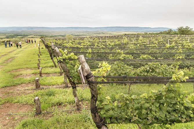 Wine Tour Privado a Calamuchita, Córdoba - Argentina - Key highlights you’ll feel right away