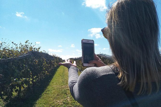 Wine Tour Privado a Calamuchita, Córdoba - Argentina - Timing in plain terms: what 9 hours looks like