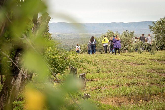 Wine Tour Privado a Calamuchita, Córdoba - Argentina - Meeting point: start in central Córdoba